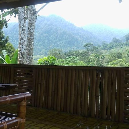 Batu Kapal Jungle Houses Hotel เบอราสตากี ภายนอก รูปภาพ