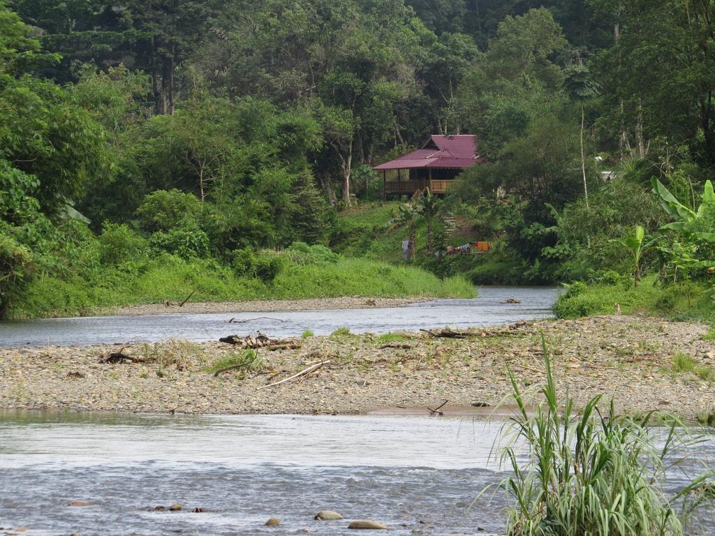 Batu Kapal Jungle Houses Hotel เบอราสตากี ห้อง รูปภาพ