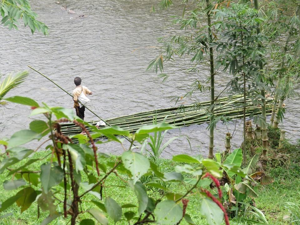 Batu Kapal Jungle Houses Hotel เบอราสตากี ภายนอก รูปภาพ