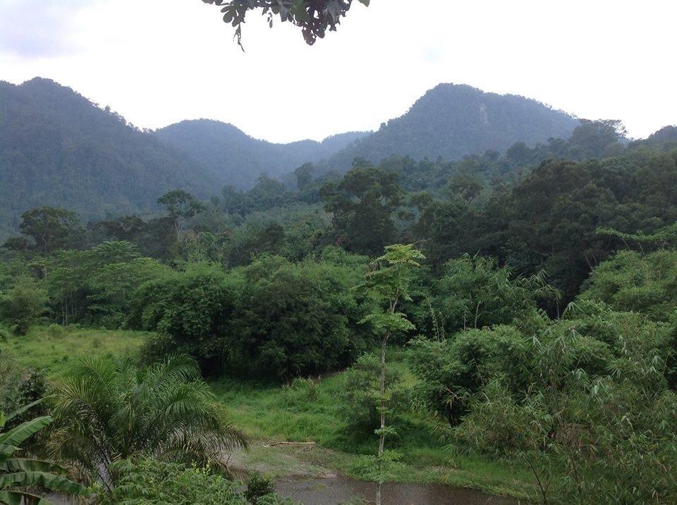 Batu Kapal Jungle Houses Hotel เบอราสตากี ภายนอก รูปภาพ