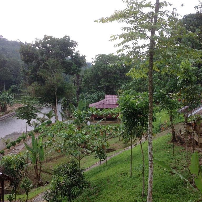Batu Kapal Jungle Houses Hotel เบอราสตากี ภายนอก รูปภาพ
