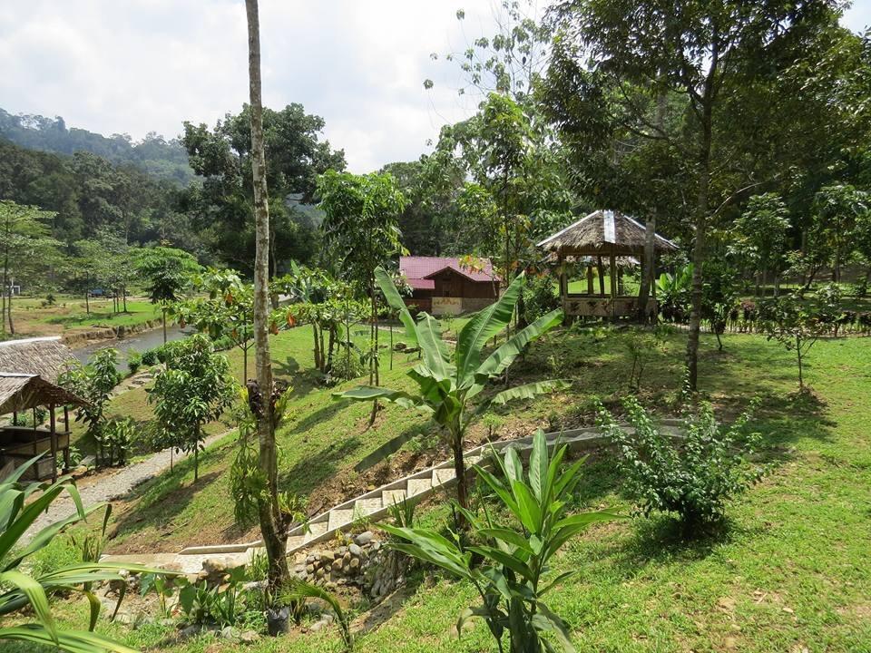 Batu Kapal Jungle Houses Hotel เบอราสตากี ภายนอก รูปภาพ