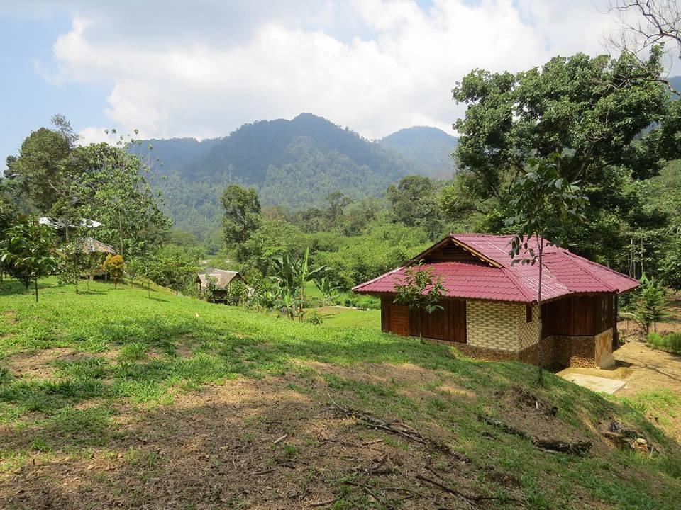 Batu Kapal Jungle Houses Hotel เบอราสตากี ภายนอก รูปภาพ