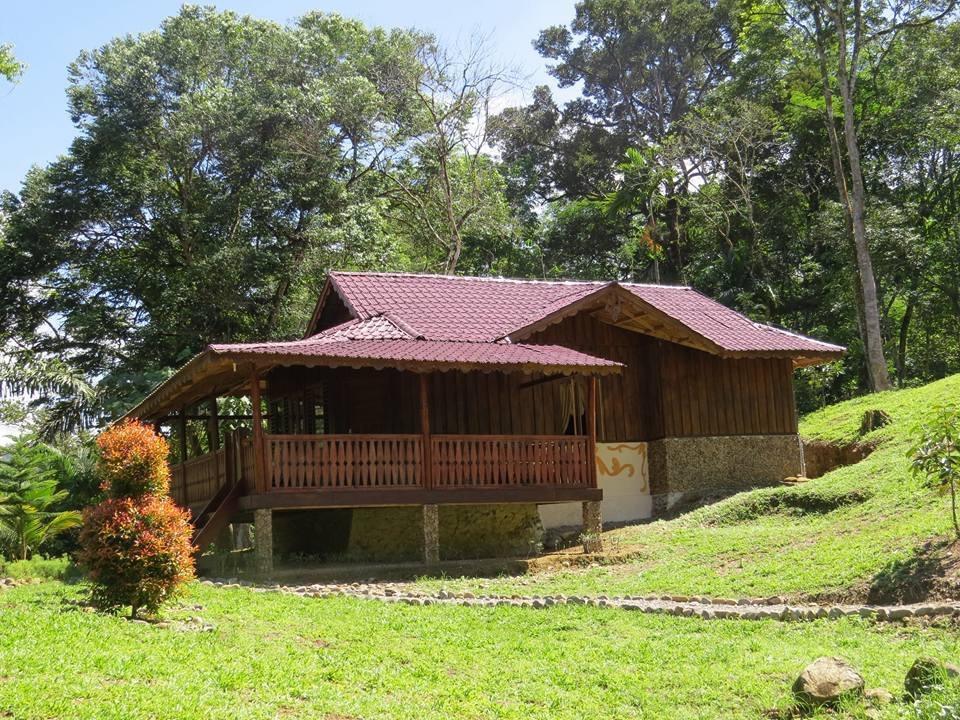 Batu Kapal Jungle Houses Hotel เบอราสตากี ภายนอก รูปภาพ